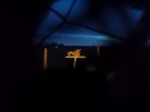 Uitzicht Steenuilen hut nacht - View Little Owl hide night