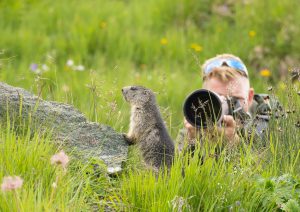 Hier ben ik een alpenmarmot aan het fotograferen!