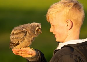 David with Long-eared Owl.